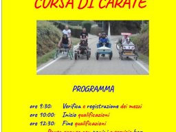 carate_2020_20200919_1900819892